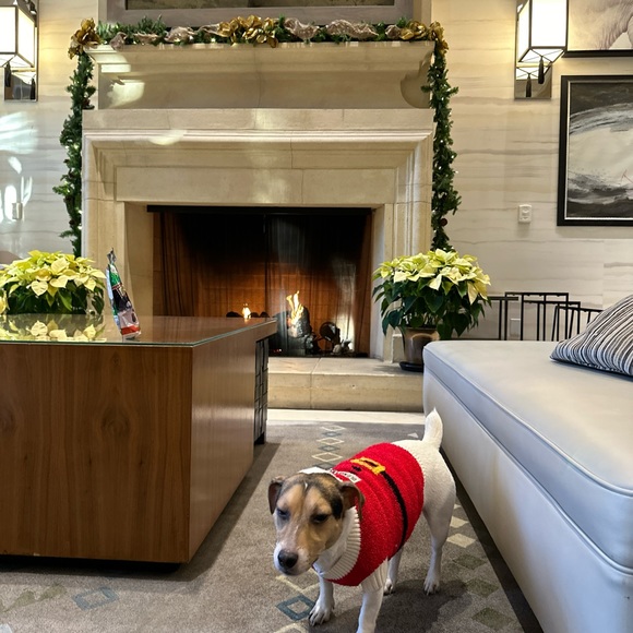 Santa dog sweater sz small fits Jack Russell size dog - Picture 3 of 3